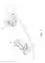 Fig. 02 - Skateboard