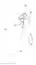 Fig. 01 - Adjustable head restraint assembly for vehicle seats