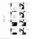 Fig. 12 - Display apparatus and method of displaying three-dimensional image using same