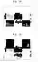 Fig. 19 - Display apparatus and method of displaying three-dimensional image using same