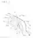 Fig. 04 - Self-adhering visual stimulator