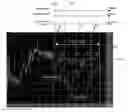 Fig. 01 - Processing of audio signals during high frequency reconstruction
