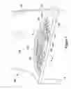 Fig. 08 - Platform cooling passages and methods for creating platform cooling passages in turbine rotor blades