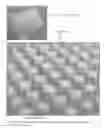 Fig. 32 - Microfluidic assay platforms