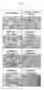 Fig. 05 - Method for treating vascular inflammation, improving skin beauty and improving male sexual function using ginseng berry