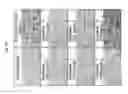Fig. 07 - Method for treating vascular inflammation, improving skin beauty and improving male sexual function using ginseng berry