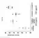 Fig. 12 - Method for treating vascular inflammation, improving skin beauty and improving male sexual function using ginseng berry