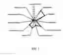 Fig. 02 - Cosmetic Composition Comprising Siliconed Sapucainha Ester and a Cosmetic Product Comprising Said Composition