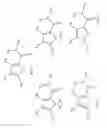 Fig. 28 - Compounds that enhance Atoh1 expression