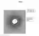 Fig. 02 - METHODS AND MEANS FOR PROTECTING THE SKIN AGAINST PATHOGENIC MICROORGANISMS