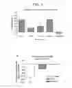 Fig. 04 - Method for activating natural killer cells by tumor cell preparation in vitro