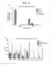 Fig. 05 - Method for activating natural killer cells by tumor cell preparation in vitro