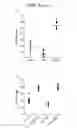 Fig. 06 - Method for activating natural killer cells by tumor cell preparation in vitro