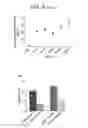 Fig. 18 - Method for activating natural killer cells by tumor cell preparation in vitro