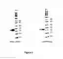 Fig. 07 - METHODS FOR IMPROVING ORAL DELIVERY
