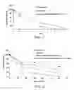 Fig. 02 - Stabilized alpha-galactosidase and uses thereof
