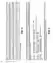 Fig. 09 - Polynucleotides encoding humanized anti-factor D antibodies