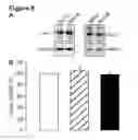 Fig. 06 - Methods for treating and/or limiting development of diabetes