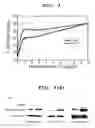 Fig. 03 - Method of reducing recurrence of multiple sclerosis symptoms in a mammal by administering an anti-repulsive guidance molecule neutralizing antibody