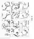 Fig. 03 - Conformationally stabilized HIV envelope immunogens