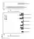Fig. 09 - Low antigen-dose immunization utilizing overlapping peptides for maximizing T-helper cell 1 (Th1) immunity against a pathogen