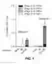 Fig. 02 - Immunogenic compositions and methods of using the compositions for inducing humoral and cellular immune responses