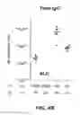Fig. 06 - Immunogenic compositions and methods of using the compositions for inducing humoral and cellular immune responses