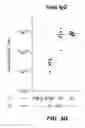 Fig. 08 - Immunogenic compositions and methods of using the compositions for inducing humoral and cellular immune responses