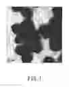 Fig. 02 - COMPOSITE NANOPARTICLE, AND PREPARATION PROCESS AND USE THEREOF