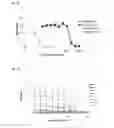 Fig. 09 - Antibiotic compositions comprising an antibiotic agent and cysteamine