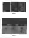 Fig. 06 - Dendritic and hyperbranched polymers for cellular encapsulation and functionalization