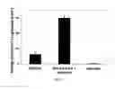 Fig. 05 - Hudrogel network comprising thermally gelling polysaccharide or protein gel encapsulating living cells