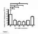 Fig. 02 - Pharmaceutical Composition Comprising miRNA-100 And Its Use in the Modulation Of Blood Vessel Growth and Endothelial Inflammation