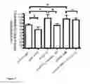 Fig. 07 - Pharmaceutical Composition Comprising miRNA-100 And Its Use in the Modulation Of Blood Vessel Growth and Endothelial Inflammation