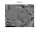 Fig. 05 - METHOD FOR MANUFACTURING GRAPHENE, TRANSPARENT ELECTRODE AND ACTIVE LAYER COMPRISING THE SAME, AND DISPLAY, ELECTRONIC DEVICE, OPTOELECTRONIC DEVICE, BATTERY, SOLAR CELL, AND DYE-SENSITIZED SOLAR CELL INCLUDING THE ELECTRODE AND THE ACTIVE LAYER