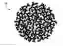 Fig. 01 - Electrodes, lithium-ion batteries, and methods of making and using same