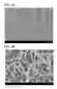 Fig. 04 - Power storage device, electrode thereof, and method for manufacturing power storage device