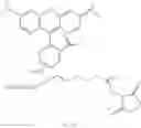 Fig. 111 - Fluorescent dyes, fluorescent dye kits, and methods of preparing labeled molecules