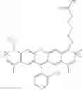 Fig. 39 - Fluorescent dyes, fluorescent dye kits, and methods of preparing labeled molecules