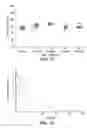 Fig. 07 - Modification-dependent activity assays