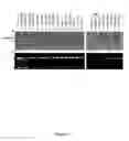 Fig. 46 - Methods and compositions for categorizing patients