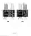 Fig. 47 - Methods and compositions for categorizing patients