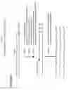 Fig. 02 - NUCLEIC ACID AMPLIFICATION