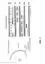 Fig. 08 - METHODS AND COMPOSITIONS FOR THE PRODUCTION OF RECOMBINANT VIRUS VECTORS