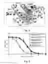 Fig. 03 - GENETICALLY ENCODED FLUORESCENT COUMARIN AMINO ACIDS