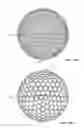 Fig. 20 - Golf ball having an aerodynamic coating including micro surface roughness
