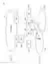 Fig. 09 - MOBILE COMMUNICATION SYSTEM, NETWORK APPARATUS, MOBILE COMMUNICATION METHOD