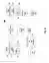Fig. 03 - System and method for proximity area networking for mobile gaming