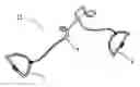 Fig. 01 - Adjustable skipping rope