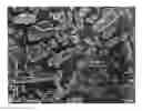Fig. 01 - Columnar aluminum titanate and method for producing same